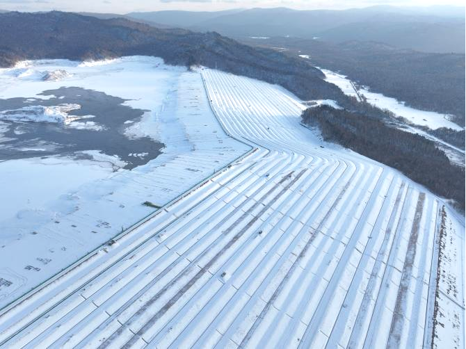 圖片10.png 圖片10.png